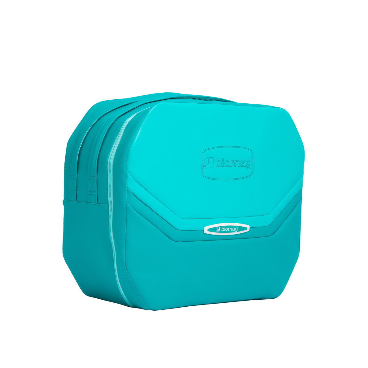EBV4 bag