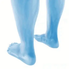 Protiotokový