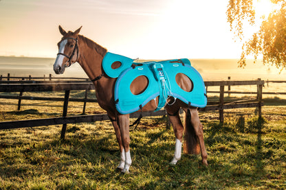 Horse with Lumina 3D-e VET HORSE TREATMENT ELITE